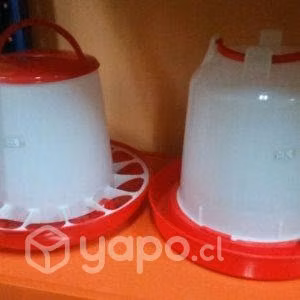 Kit comedero y bebedero (Aves grandes)