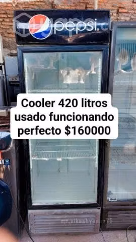 Vidicooler 1 puerta de 420 litros funcionando perf - Imagen 2