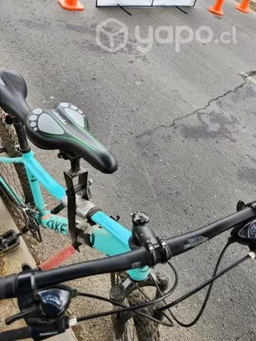 Sillin para bicicleta - Imagen 2