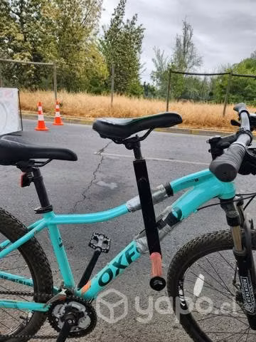 Sillin para bicicleta - Imagen 3