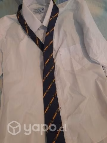 Liceo de aplicacion