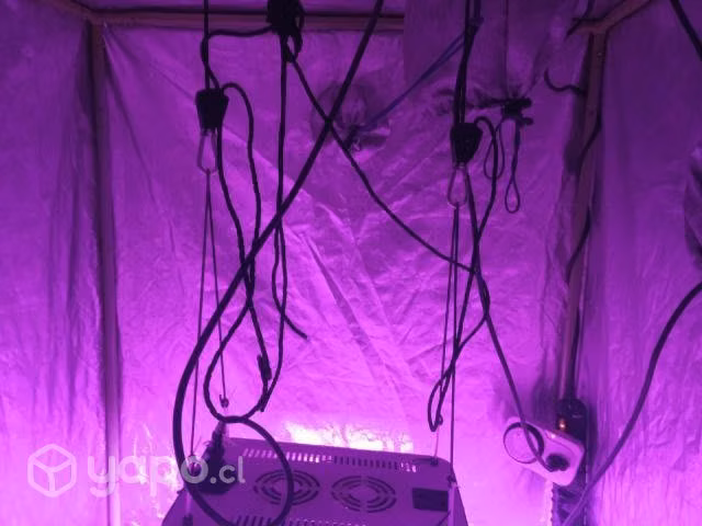 Foco LED x
