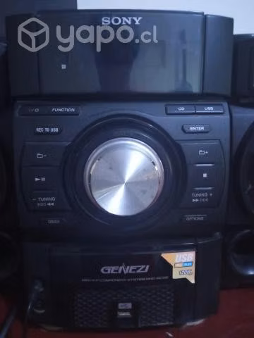 Equipo de música Sony 120w conversable