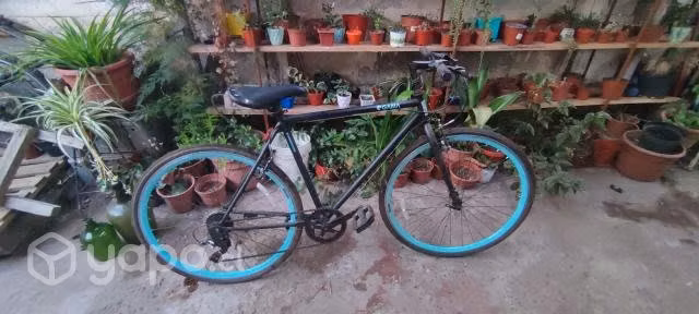 Bicicleta pistera aro 28