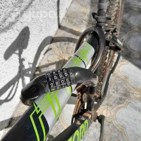 Bicicleta oxford