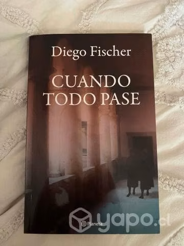 Cuando todo pase, Diego Fischer