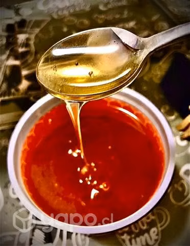Miel de abejas URBANAS