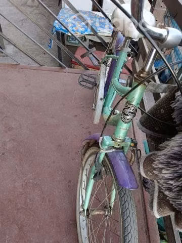 bicicleta