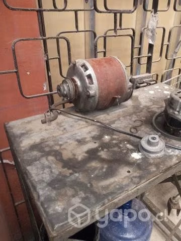 Motor electrico