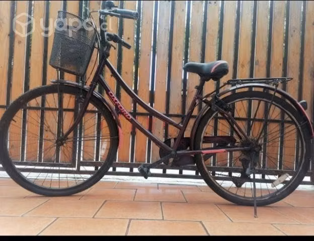 Bicicleta de paseo