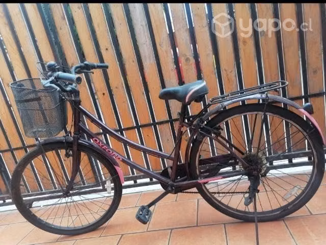 Bicicleta de paseo - Imagen 3