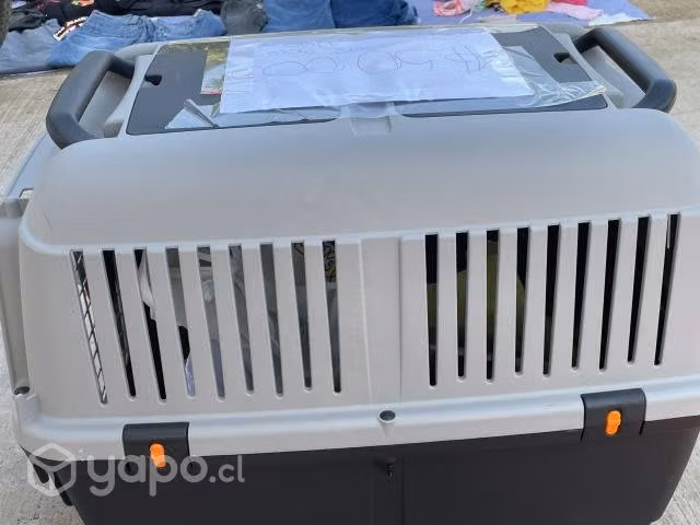 Canil para perro n4