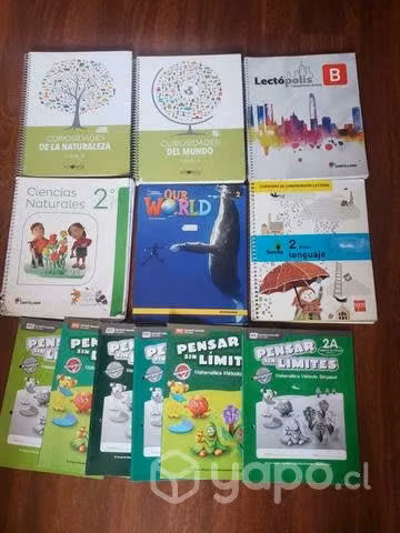 Libros de segundo basico