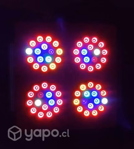 Luz LED THUNDERLIGHT 4 INDOOR