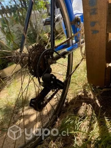 Bicicleta - Imagen 4
