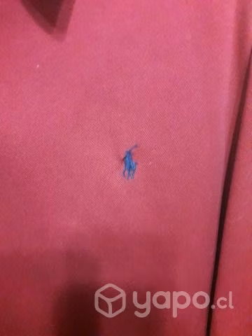 Chaqueta Polo Nueva