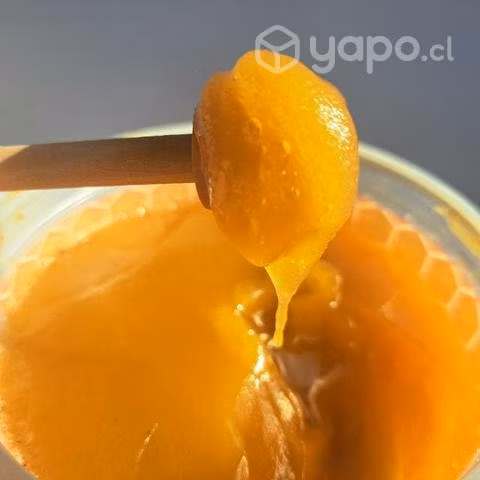 Miel de abejas de Alta Pureza, 100% natural