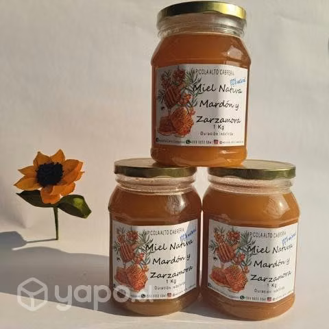 Miel de abejas de Alta Pureza, 100% natural