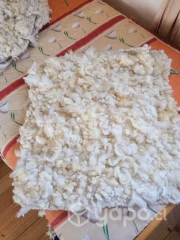 Bajadas de cama