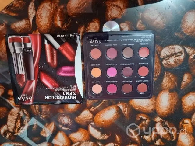 Estuche labiales 12 colores
