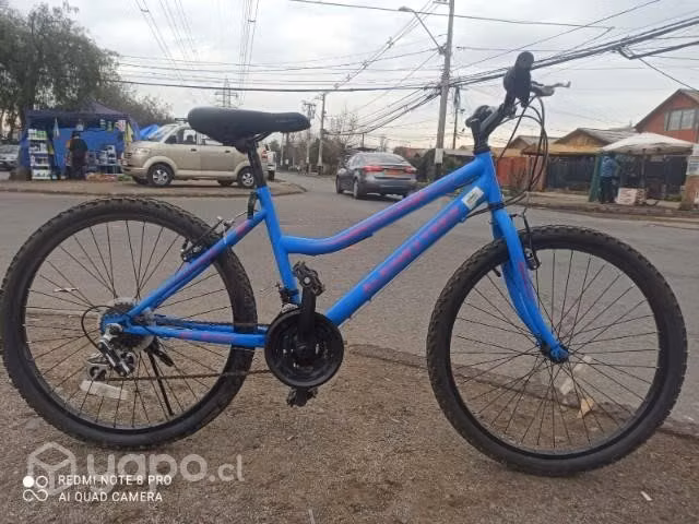 MTB aro 24 alpinextrem