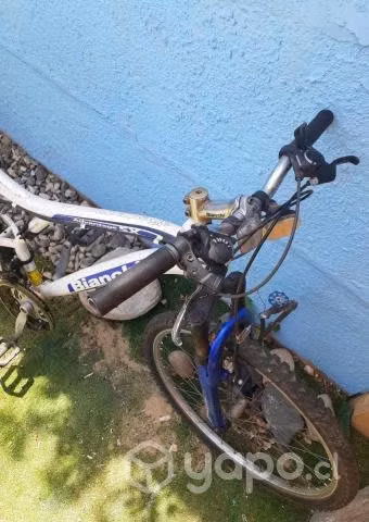 Bici Bianchi - Imagen 2