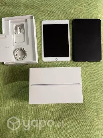 IPad mini 5