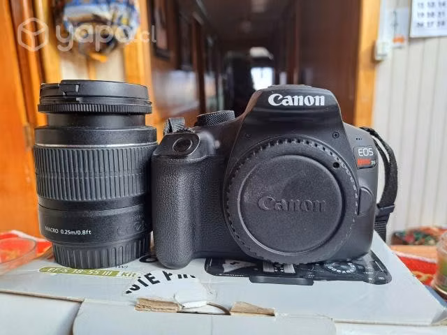 Canon T6