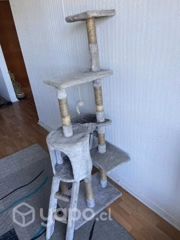Casa de Gato