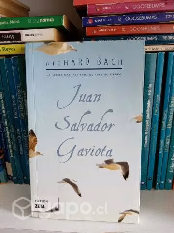 Juan Salvador Gaviota