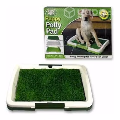 Baño sanitario perro