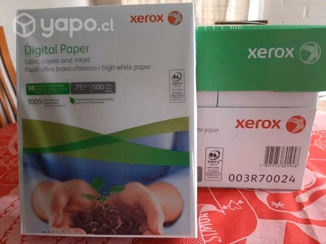 Papel carta xerox