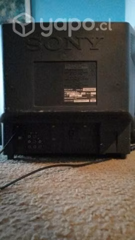 Televisor Sony modelo Triniton 21 pulgadas,