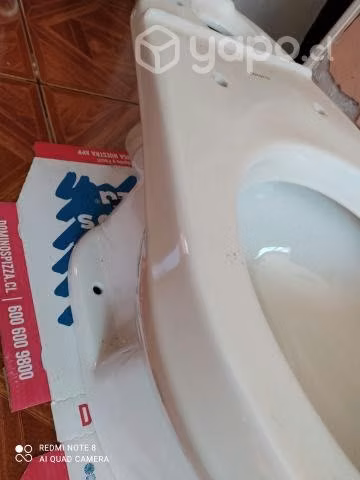 Tasa wc nueva