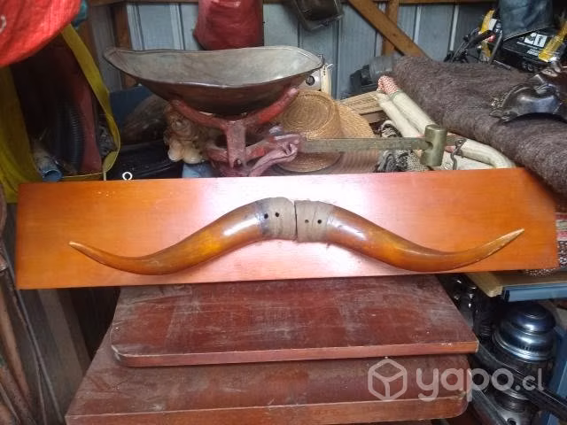 Cachos antiguos con base madera nativa - Imagen 5