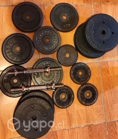 Discos pesas mancuernas