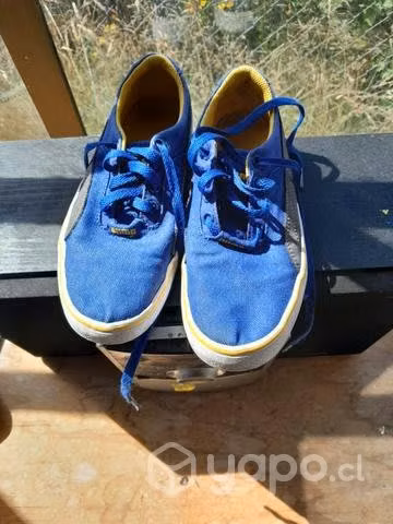Lonas puma - Imagen 2