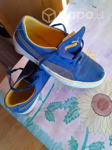 Lonas puma - Imagen 3