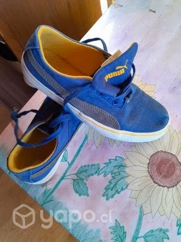 Lonas puma
