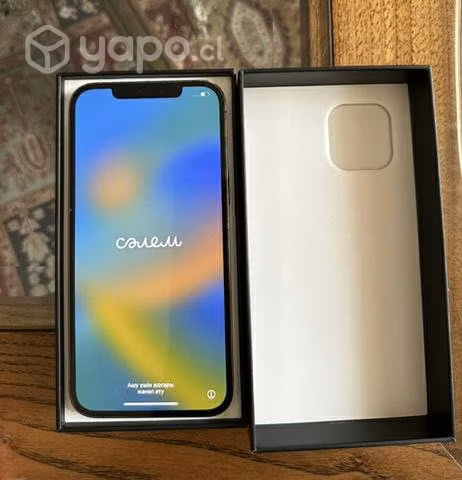 IPhone 12 Pro Max