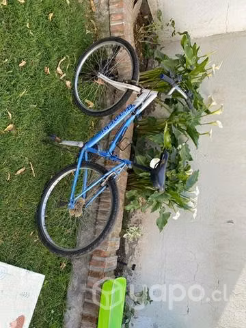 Bicicleta Bianchi Celeste Aro 26