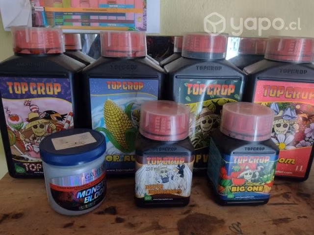 Kit indoor - Imagen 3