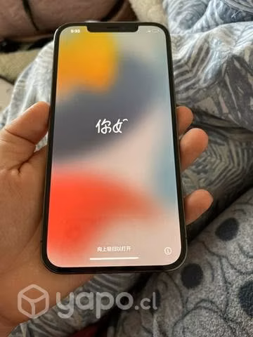 IPhone 12 Pro Max