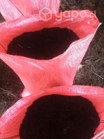 Tierra de hojas orgánica
