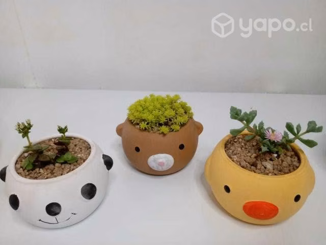Maceteros Animales
