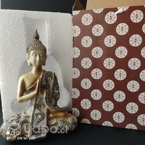 Buda Meditación