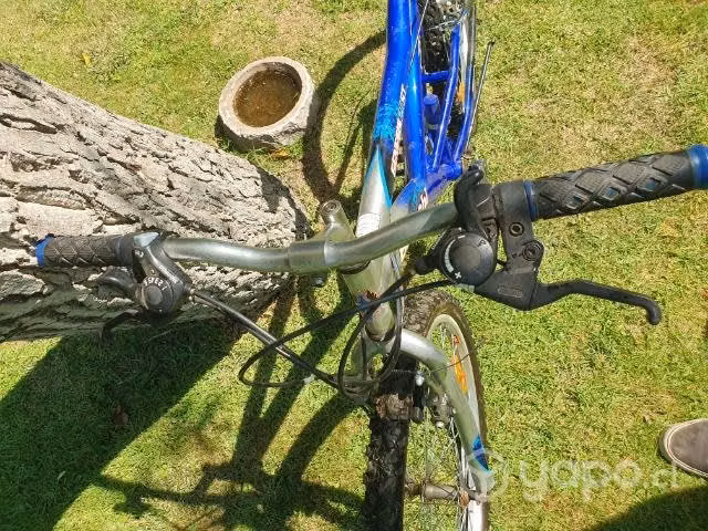 Bicicleta Bianchi - Imagen 4