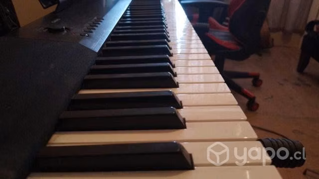 Piano Eléctrico Casio CDP 135