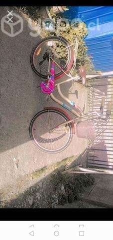 Bicicleta bianchi - Imagen 3