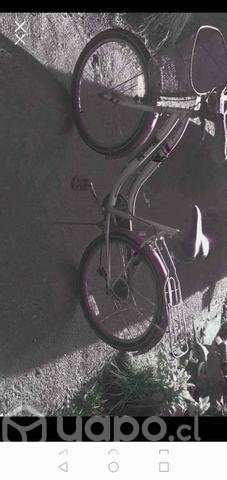 Bicicleta bianchi - Imagen 4
